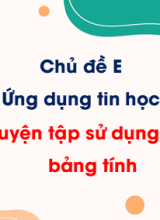 Chủ đề E - Bài 11. Luyện tập sử dụng phần mềm bảng tính